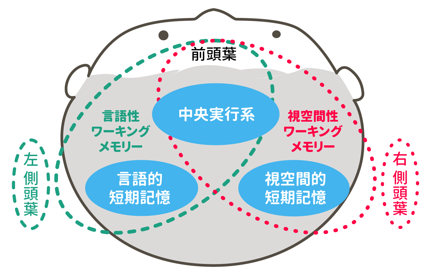 RAM メモリ: RAM メモリとは何なのか、何のためにあるのか、どのように機能するのか